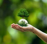 Food Distribution Camp